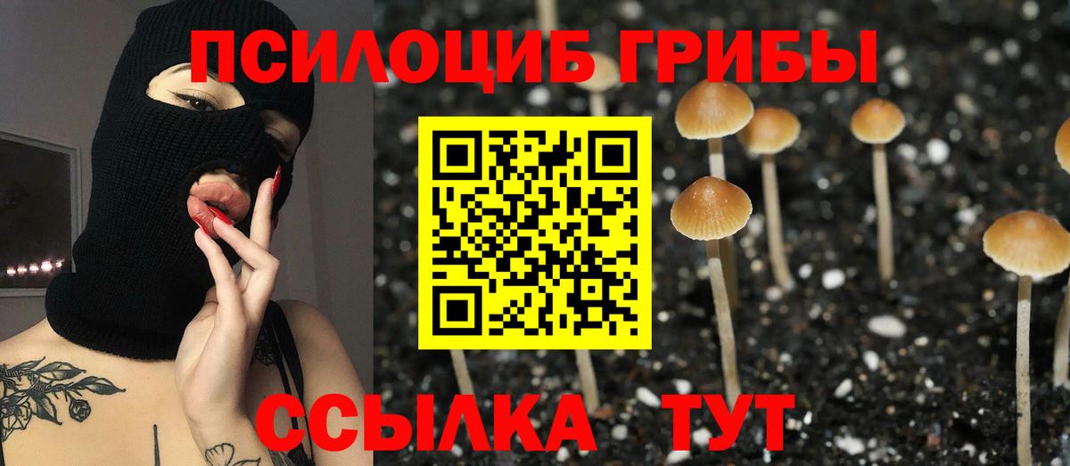 Ликино-Дулёво  наркошоп  Вход с VPN  Псилоцибиновые грибы Psilocybine cubensis  Псилоцибиновые грибы GOLDEN TEACHER 
